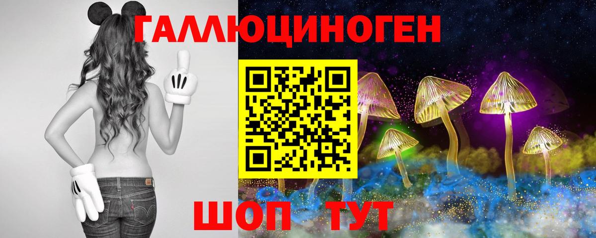 Псилоцибиновые грибы мухоморы Сыктывкар